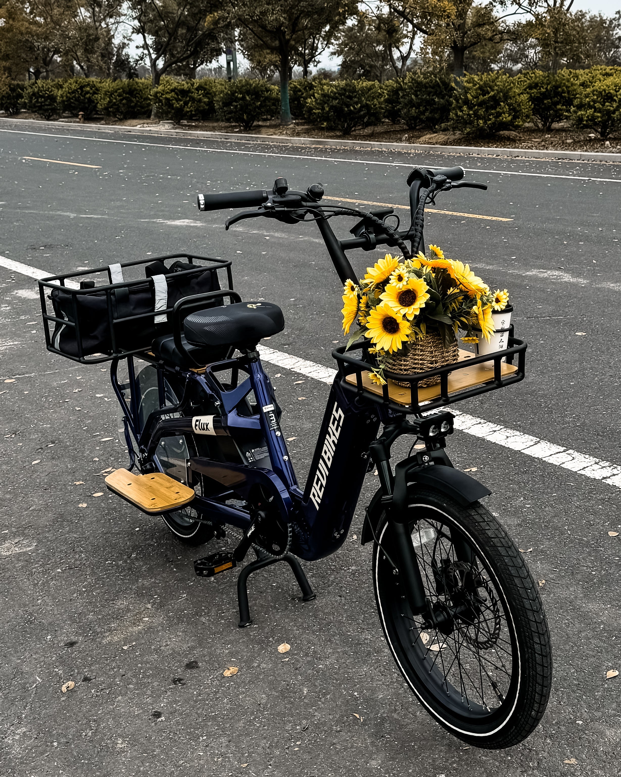 One Bike, Endless Possibilities: Meet Your Family’s Ultimate E-Companion!