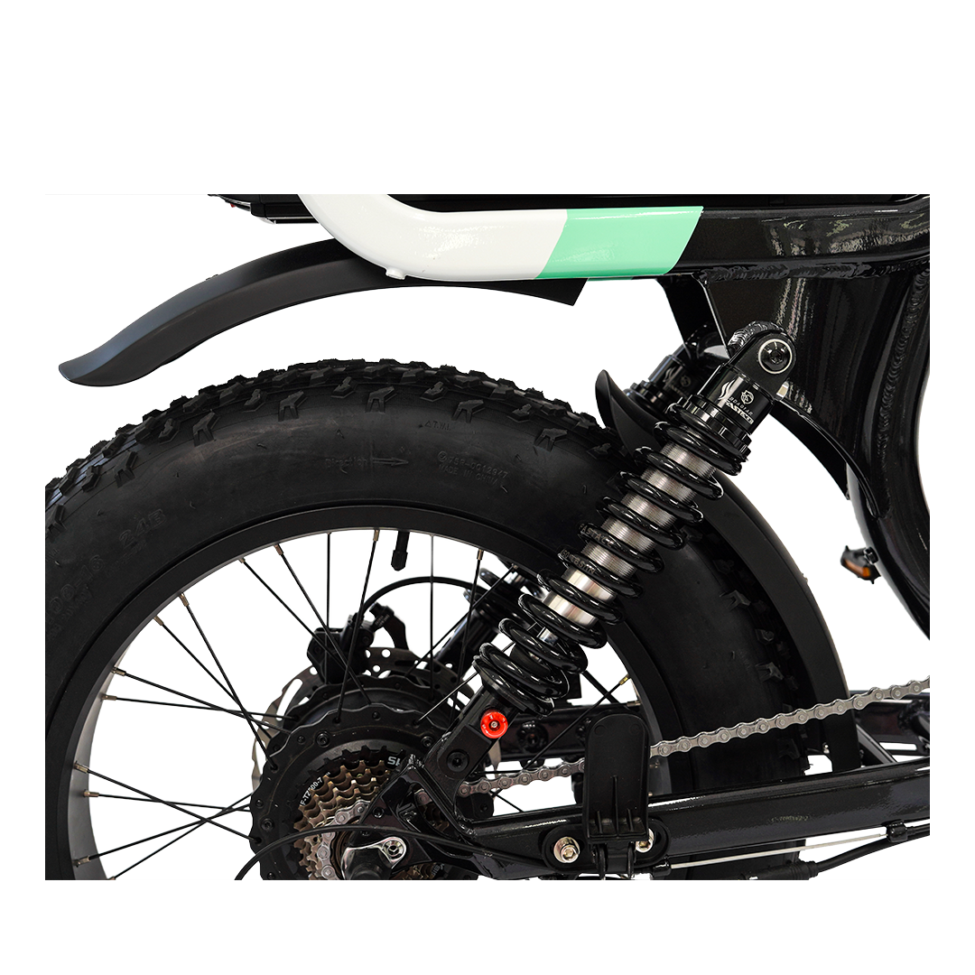 BSKS36